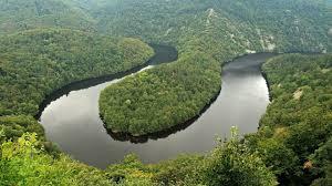 Profile photo for shane watson