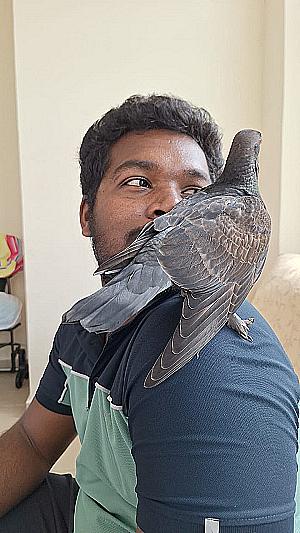 Profile photo for Mohan Kumar