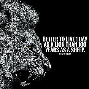 Profile photo for Hassan Ismail