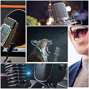 Profile photo for Rohit Shah