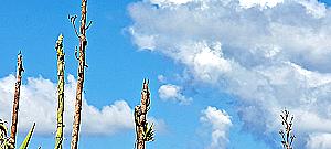 Profile photo for fatma ezzahra mohamed