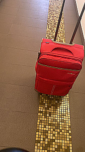 Profile photo for Shir Han