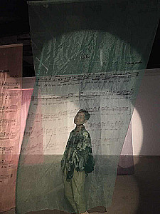 Profile photo for Luu Phuong