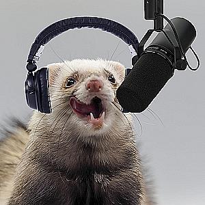 Profile photo for Chris Anglin