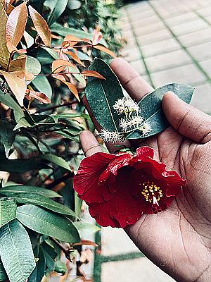 Profile photo for Arunima M