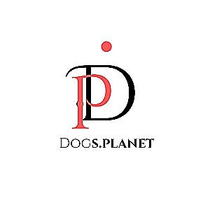 Profile photo for Lydia ubah