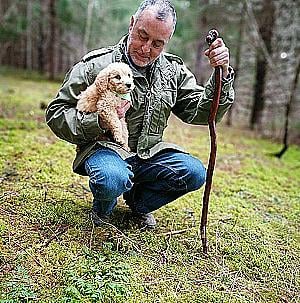 Profile photo for Jason White