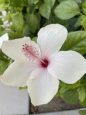 Profile photo for Rylie Franco