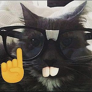 Profile photo for Afroz Mondal