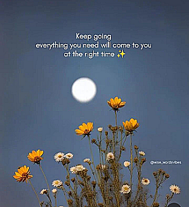 Profile photo for Femina MP