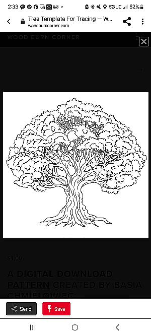 Profile photo for Michelle Hooks