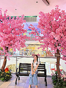 Profile photo for Nguyễn Thị Tuyết Nhung