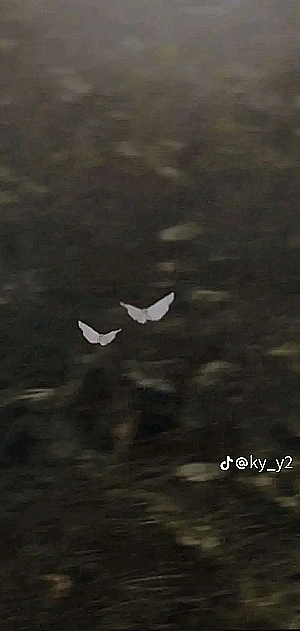 Profile photo for Somto Obidiaso