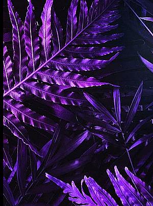 Profile photo for Derek Moe