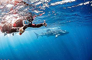 Profile photo for Patti LI