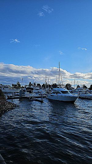 Profile photo for Nicia Williams