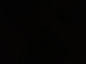 Profile photo for Christopher Bissett