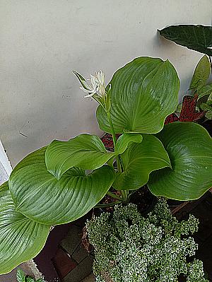 Profile photo for Lolo !