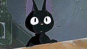 Profile photo for Giovanni Conte