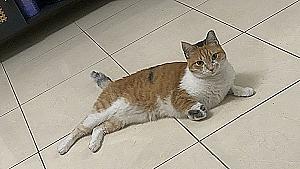 Profile photo for Reena Reen