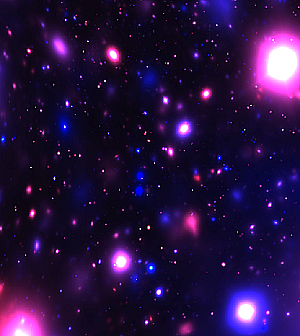 Profile photo for love dove