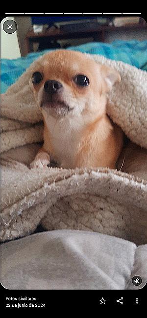 Profile photo for Paula Andrea Moreno Barrenechea