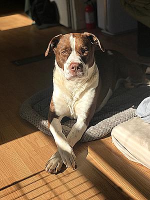 Profile photo for Cam Christian Pennington