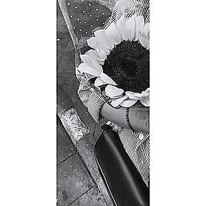 Profile photo for Mampi Hembram