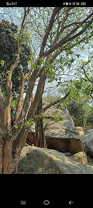 Profile photo for Juwadeep Chetia