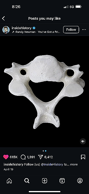 Profile photo for Nicholas A Demarco