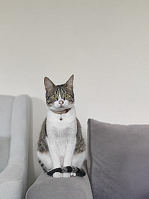 Profile photo for sevde baştaş