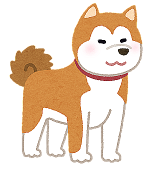 Profile photo for Yulia Saito