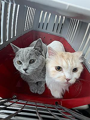 Profile photo for Jim Athamny