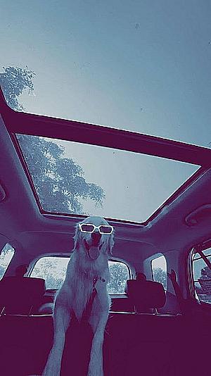 Profile photo for Keerthana K.