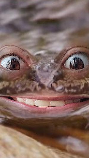 Profile photo for Asael parra