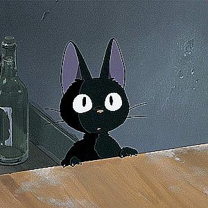 Profile photo for Alisya Quina