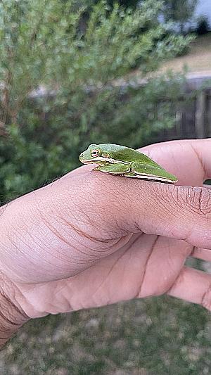 Profile photo for Prophet sanders