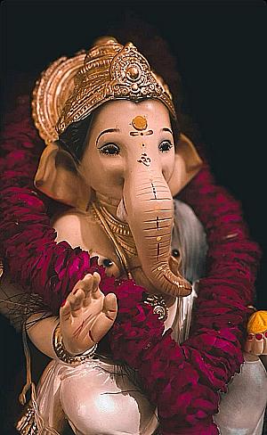 Profile photo for Anshika Anshika