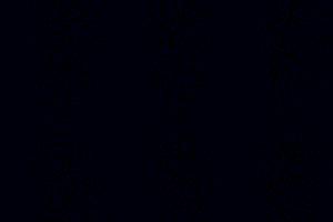 Profile photo for Carolina Herrera Segunda