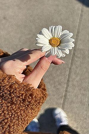 Profile photo for Joudi Ahmad