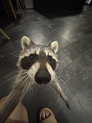 Profile photo for Joshua Moorer