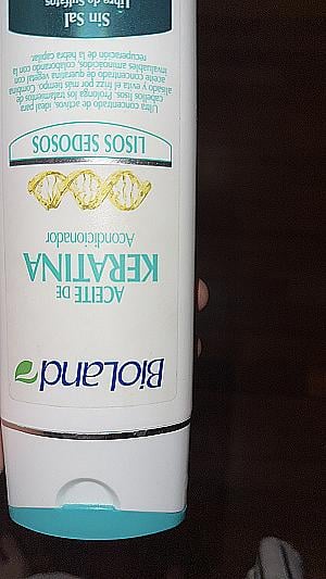 Profile photo for Julian Saravia