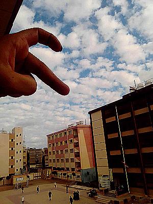 Profile photo for رحمه شريف عصعوص