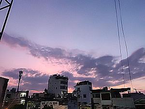 Profile photo for Nguyễn Thi Tram