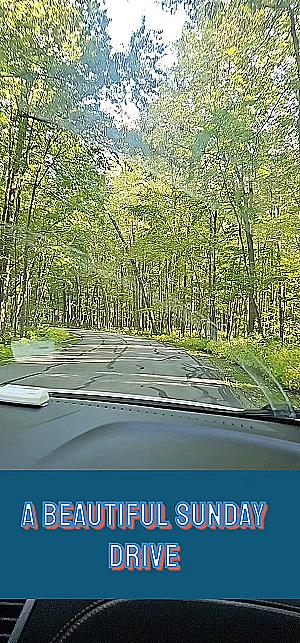 Profile photo for Sir. Blaire Caldwell