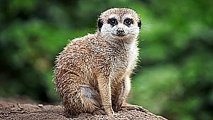 Profile photo for Jack Dunlop