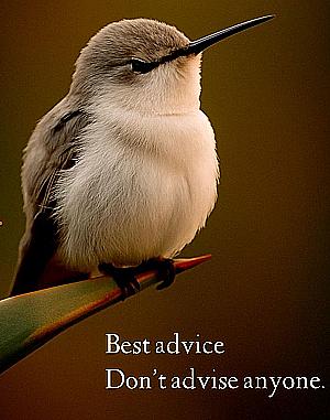 Profile photo for TIRUMALASETTY RADHIKA