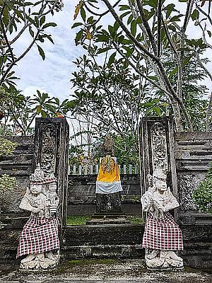 Profile photo for Rhensi Sinurat