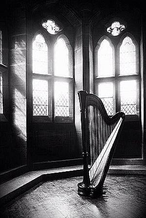 Profile photo for Rachelle Bowles