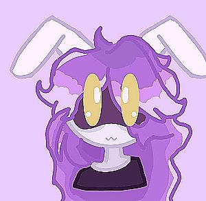 Profile photo for Robin Rings